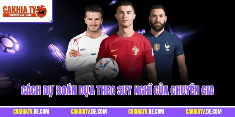 Cách dự đoán dựa theo suy nghĩ của chuyên gia